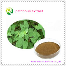 Factory Supply Directly Herba Pogostemonis P. E. Patchouli Extract